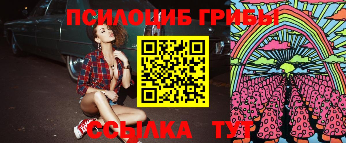 Галлюциногенные грибы Psilocybine cubensis Омск