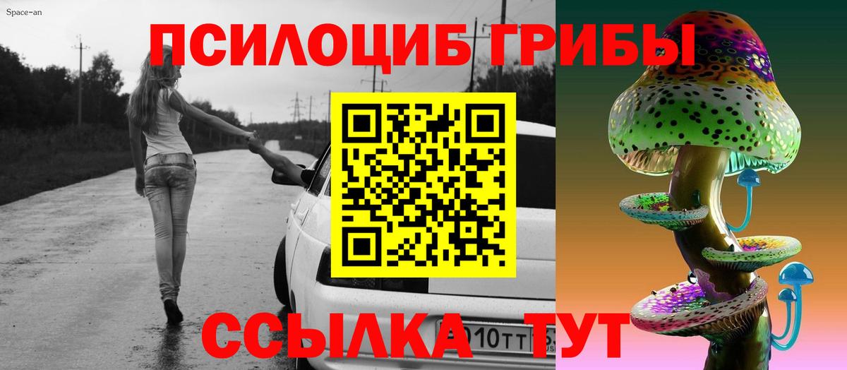 Галлюциногенные грибы Cubensis  купить наркотик  Омск  Вход с VPN 